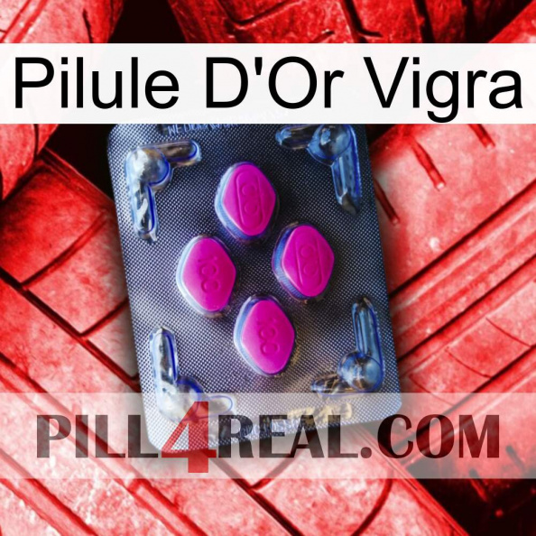 Vigra Gold Pill 02